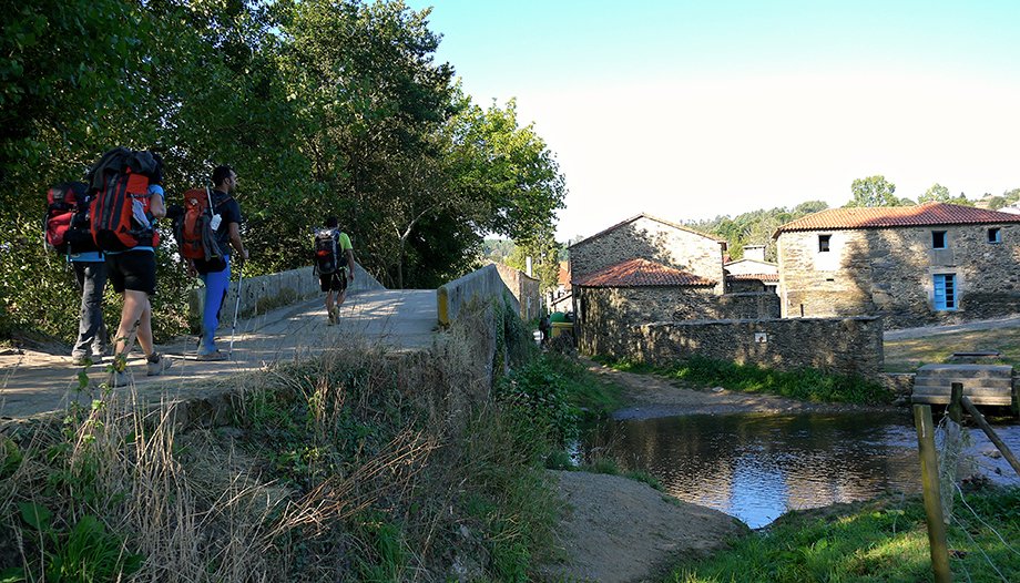 Peregrinos a Santiago